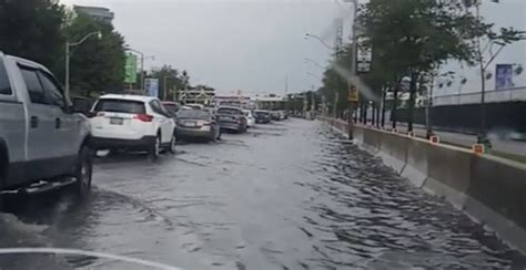 toronto rainfall last 24 hours.